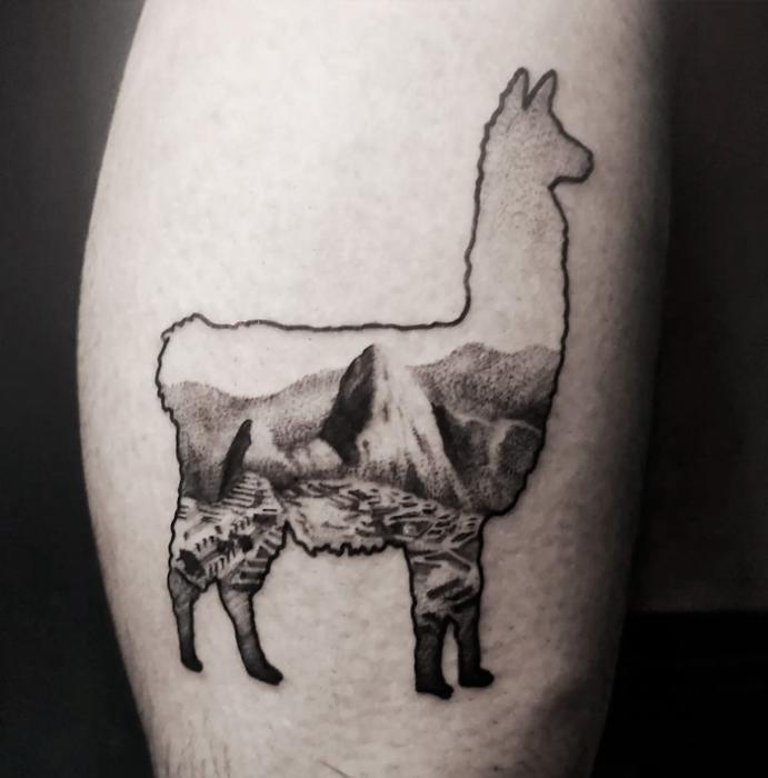 llama